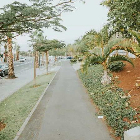 Nina بلايا ذي لاس أميريكاس