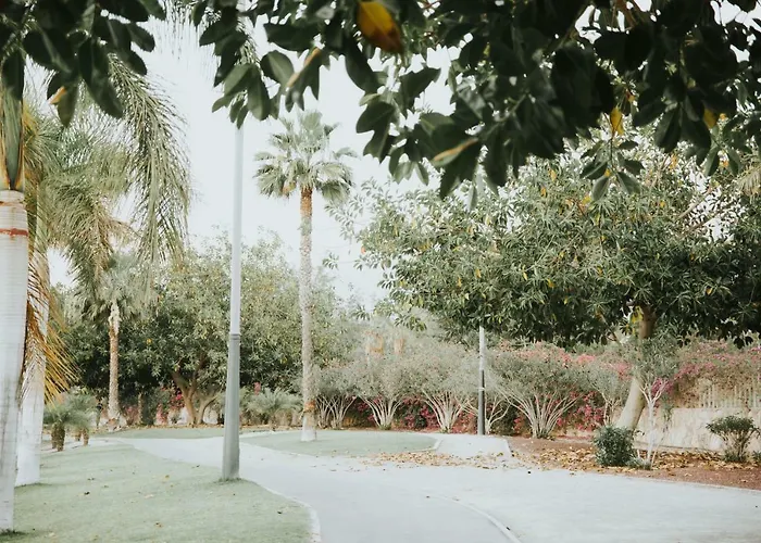 Nina プラヤ・デ・ラス・アメリカス