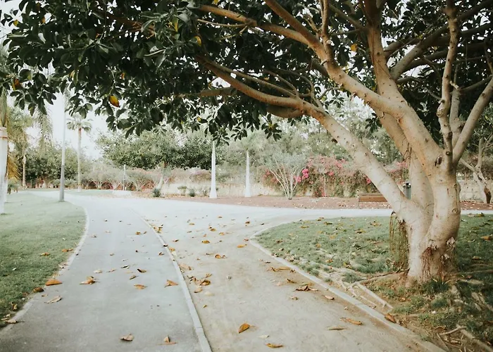 公寓 Nina 美洲海滩